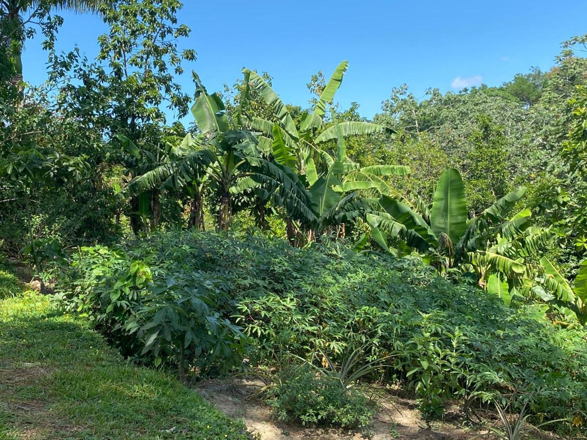Gaestezimmer In Der Villa Zimmer Jarabacoa Exterior foto